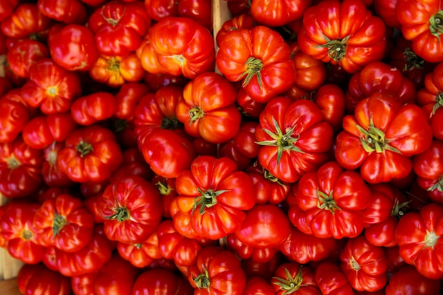 Tomaten im Gewächshaus