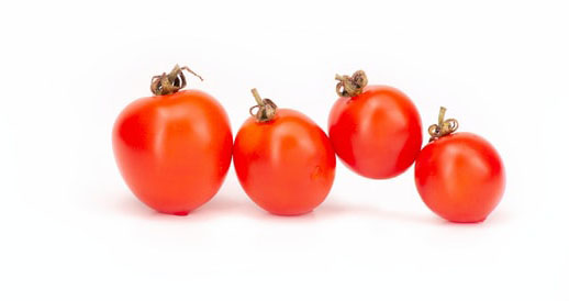 Tomaten Highlight