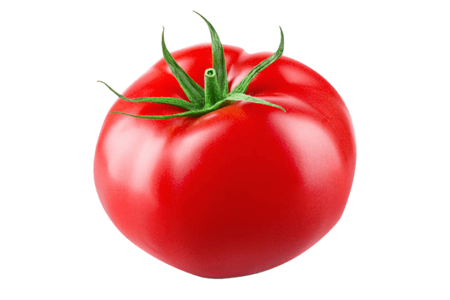 einzelne-tomate