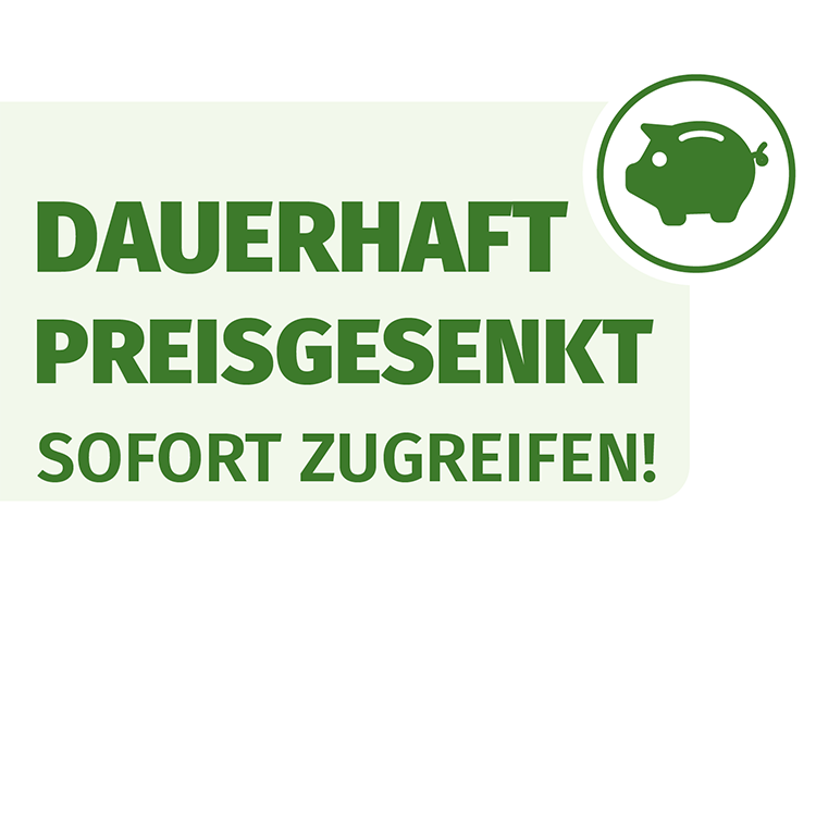 Freizeitbox BRIAN XL
