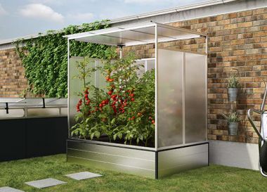 BRAST Gewächshaus mit rostfreiem Stahlfundament 300x800cm 24m² Garten Tomaten Pflanzen-Haus Treibhaus Foliengewächshaus