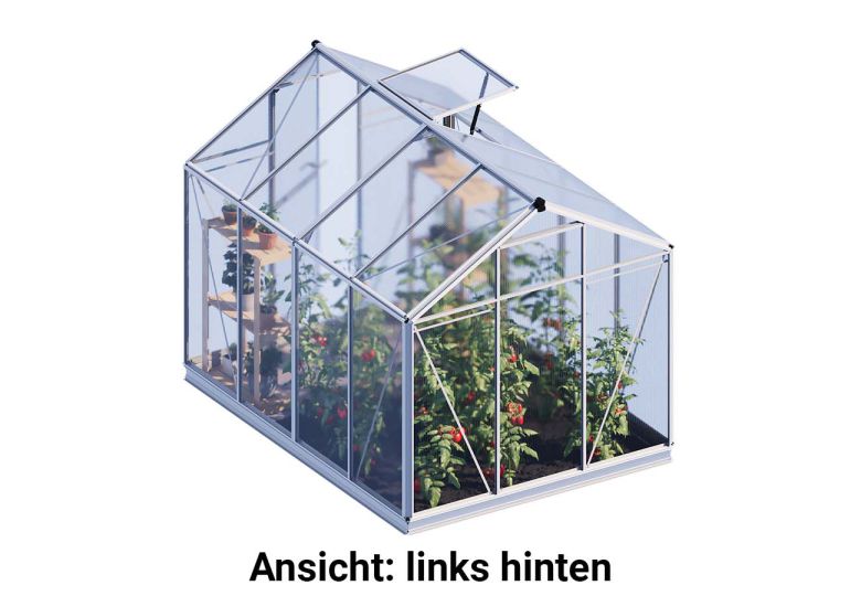 Links hinten betrachtet präsentiert sich das Gewaechshaus Eco-Star 4 mit einer soliden Rückseite und klaren Linien.