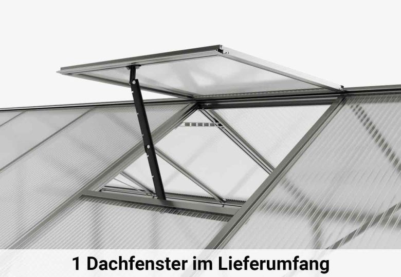 Das Dachfenster des Gewaechshauses Eco-Star 4 bietet eine zusätzliche Belüftungsmöglichkeit und lässt natürliches Licht in den Innenraum für optimale Bedingungen.