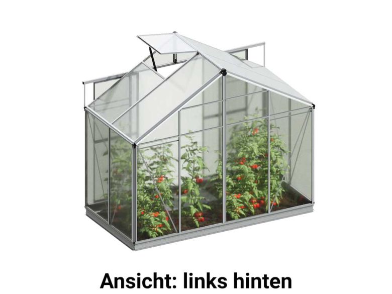 Die freigestellte linke hintere Ansicht präsentiert das Gewaechshaus Orchidee 2 mit einer stabilen Rückseite und klaren Linien.