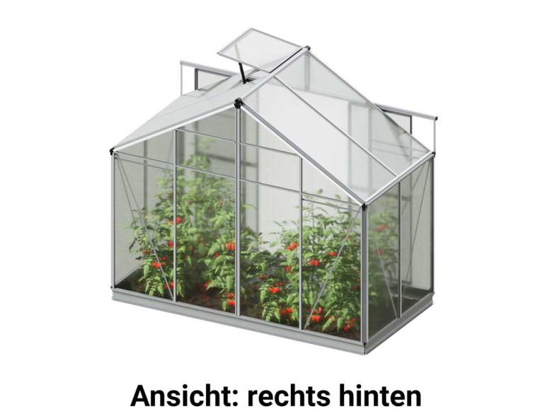 Die freigestellte rechte hintere Ansicht des Gewaechshauses Orchidee 2 betont die Stabilität der Konstruktion und den Einsatz hochwertiger Materialien für eine langanhaltende Haltbarkeit.