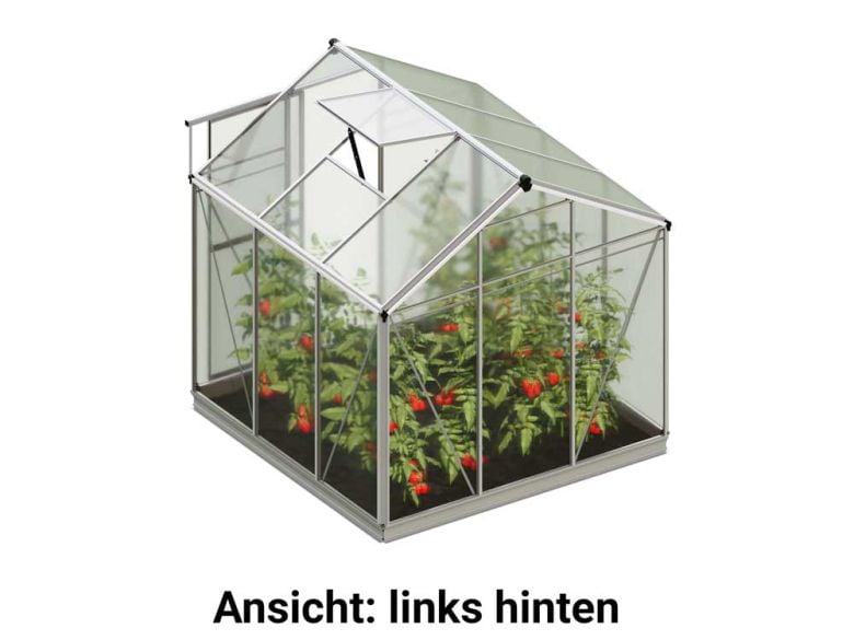 Die linke hintere Ansicht präsentiert das Gewaechshaus Jasmin 3 freigestellt mit einer robusten Rückseite und klaren Linien.