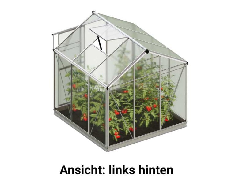 Die linke hintere Ansicht präsentiert das Gewaechshaus Jasmin 3 freigestellt mit einer robusten Rückseite und klaren Linien.