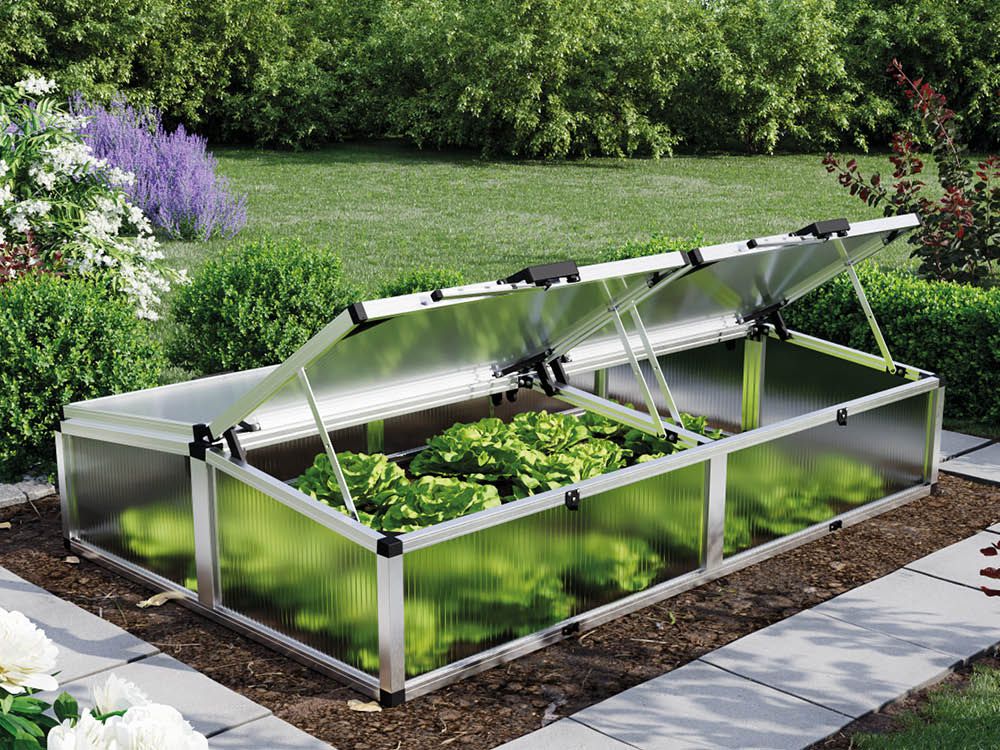 Frühbeetkasten Caro 2013