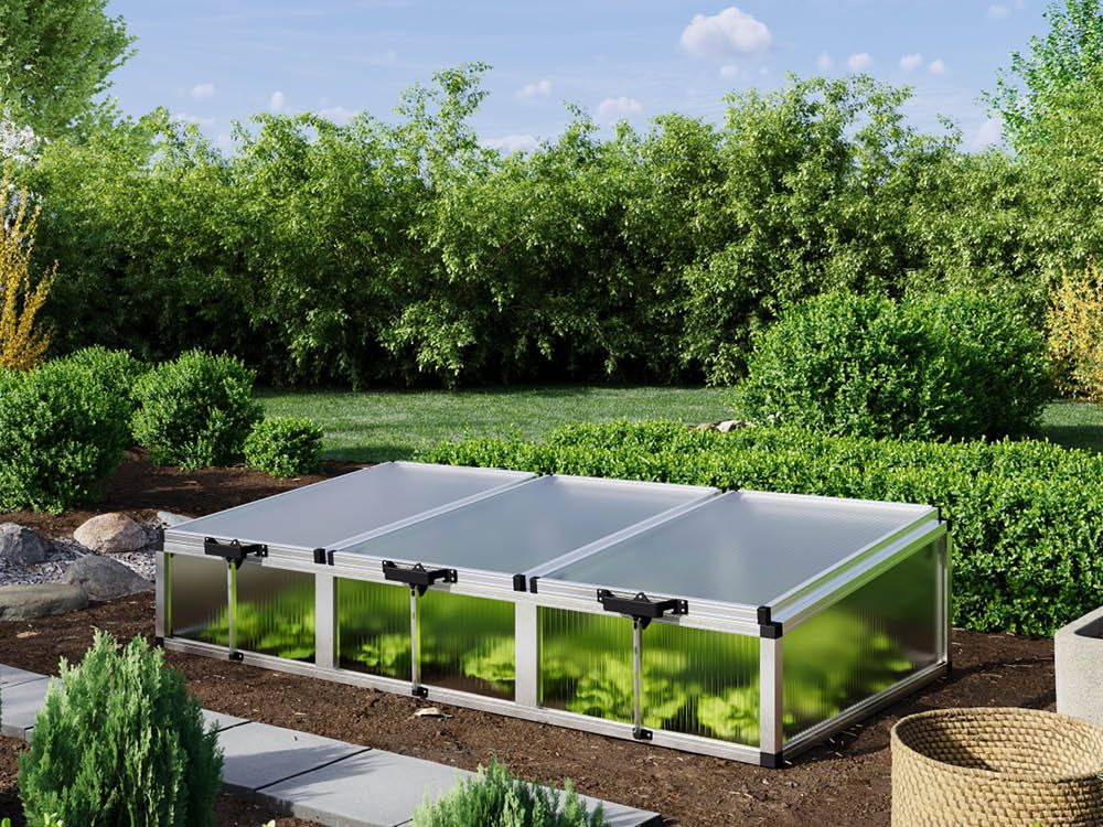 Frühbeetkasten Doris 1910