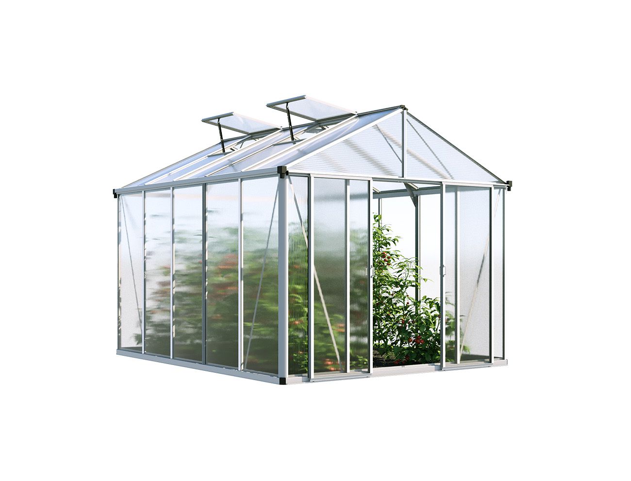 Gewächshaus RUBIN 5 - ohne Setangebot