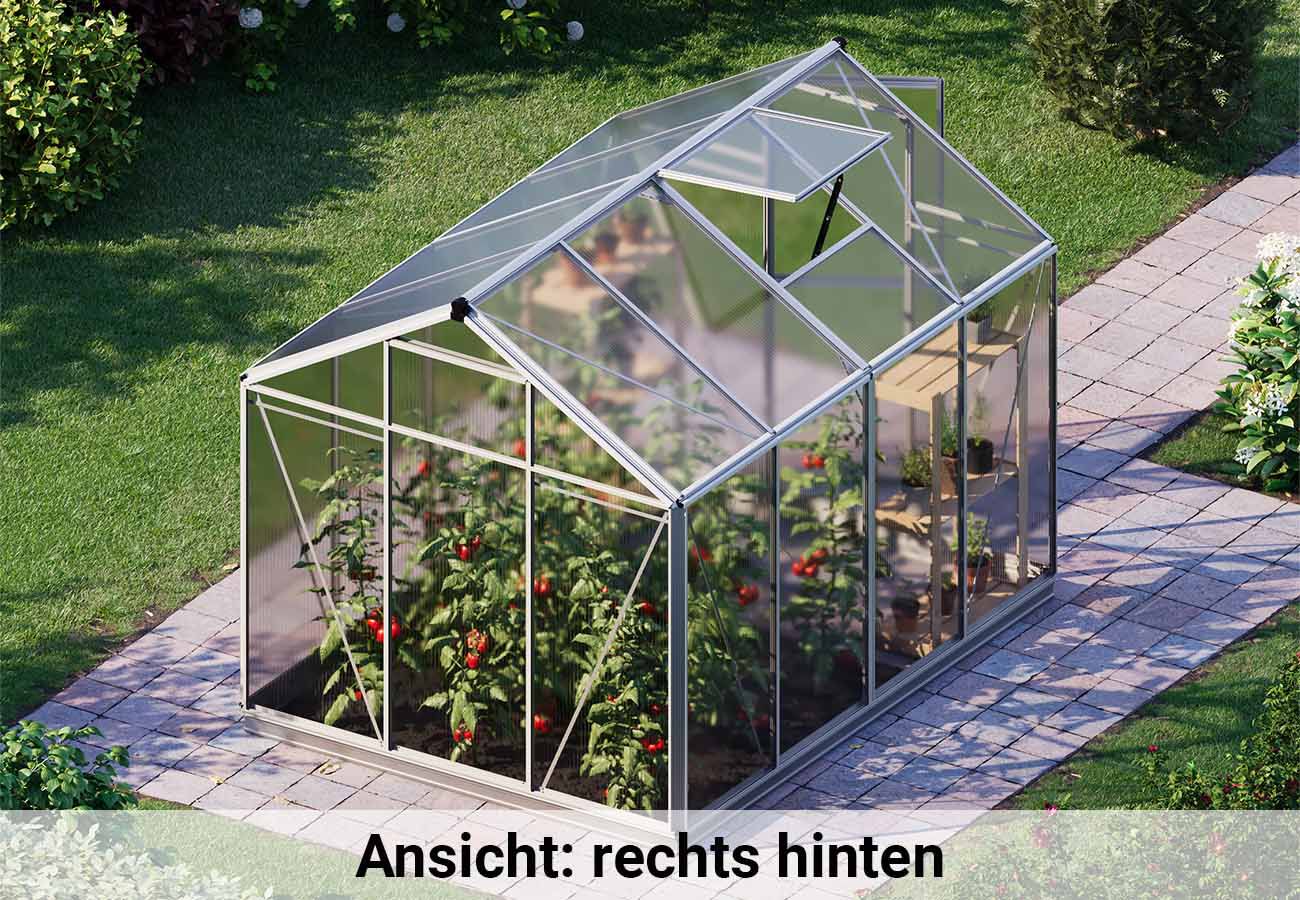 Gewächshaus ECO-STAR 4-nein danke, kein Setangebot-inkl. Stegplatten 8 mm