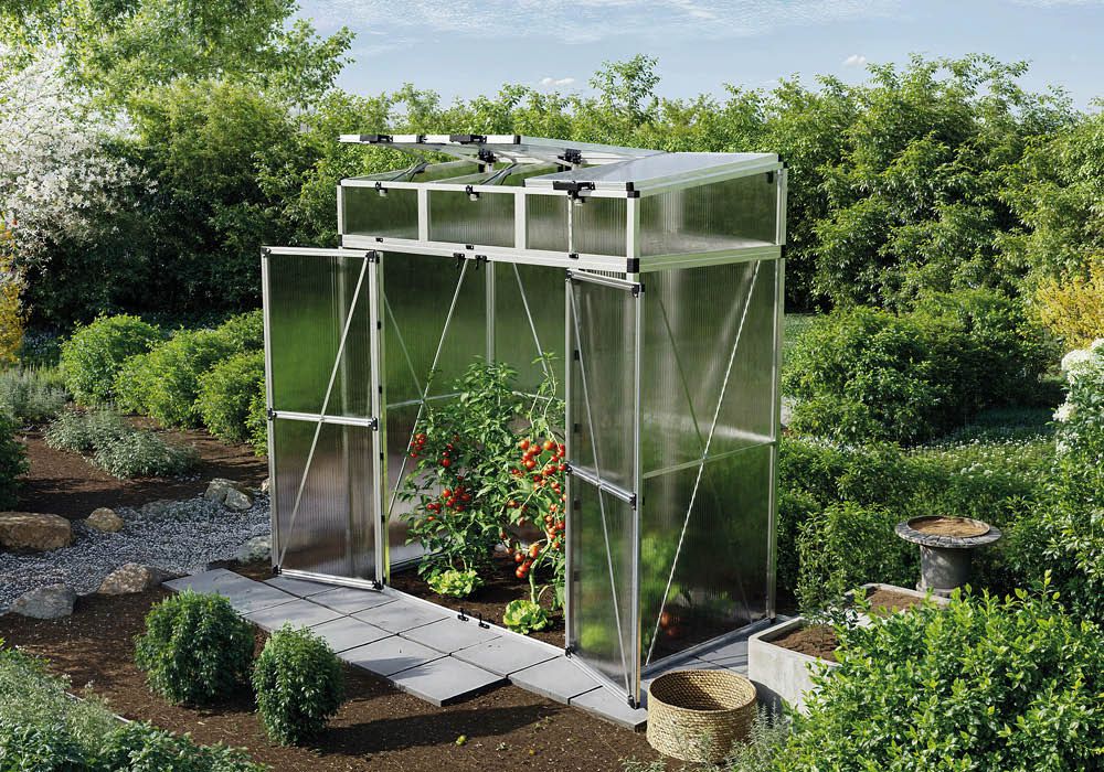 Tomatenhaus Vanessa 1910