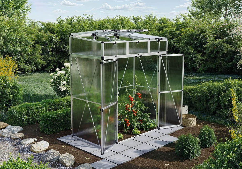 Tomatenhaus Vanessa 1910