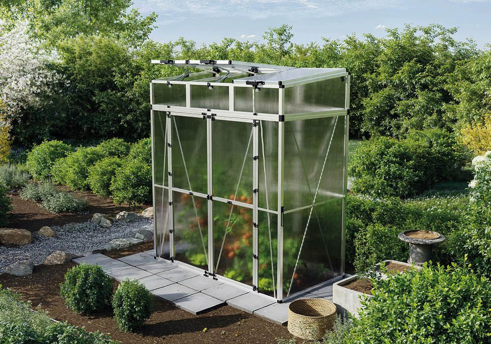 Tomatenhaus Vanessa 1910