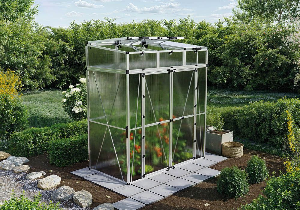 Tomatenhaus Vanessa 1910