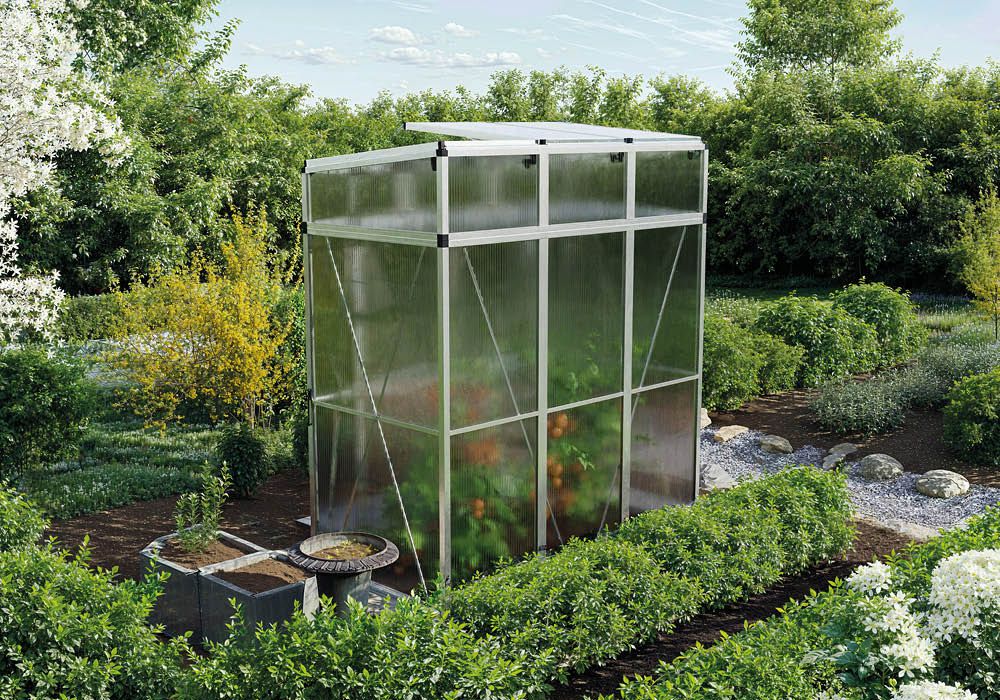 Tomatenhaus Vanessa 1910