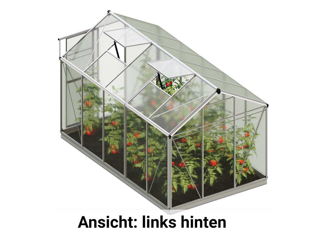 Die freigestellte linke hintere Ansicht präsentiert das Gewaechshaus Jasmin 5 mit einer stabilen Rückseite und klaren Linien.