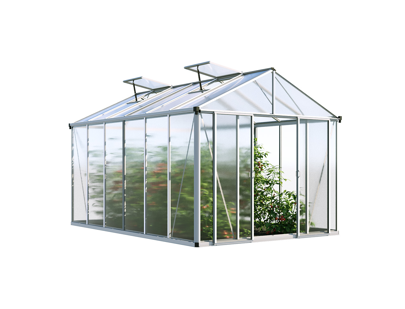 Gewächshaus RUBIN 6 - inkl. Aktionsset - Profi 2 kostenloser Versand