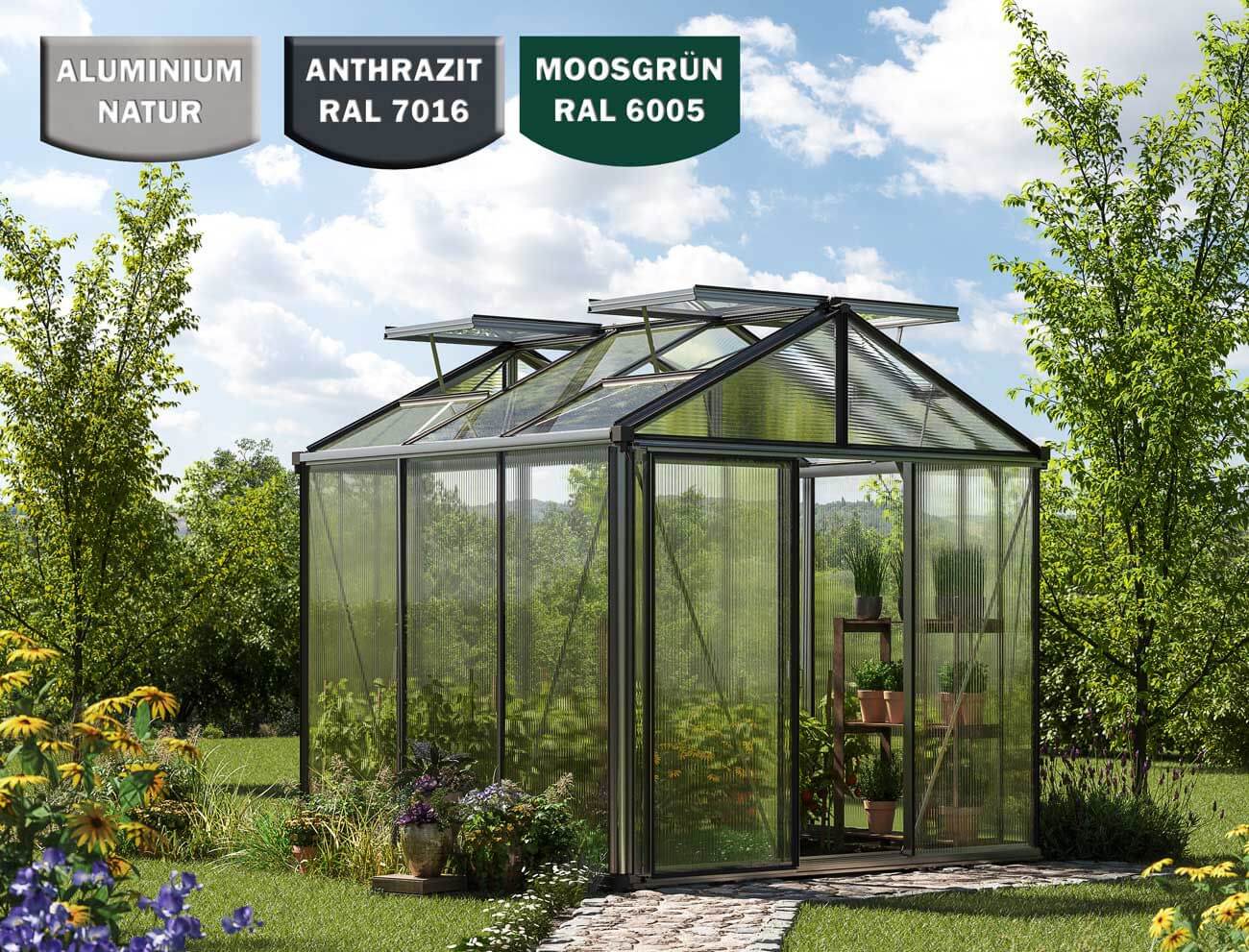 Gewächshaus 235x235cm,  10 oder 12 mm, 2 Fenster, Einfachtür, Gewächshaus Aluminium, Tomatenhaus, Gartenhaus, Treibhaus, gewächshaus günstig, Glashaus