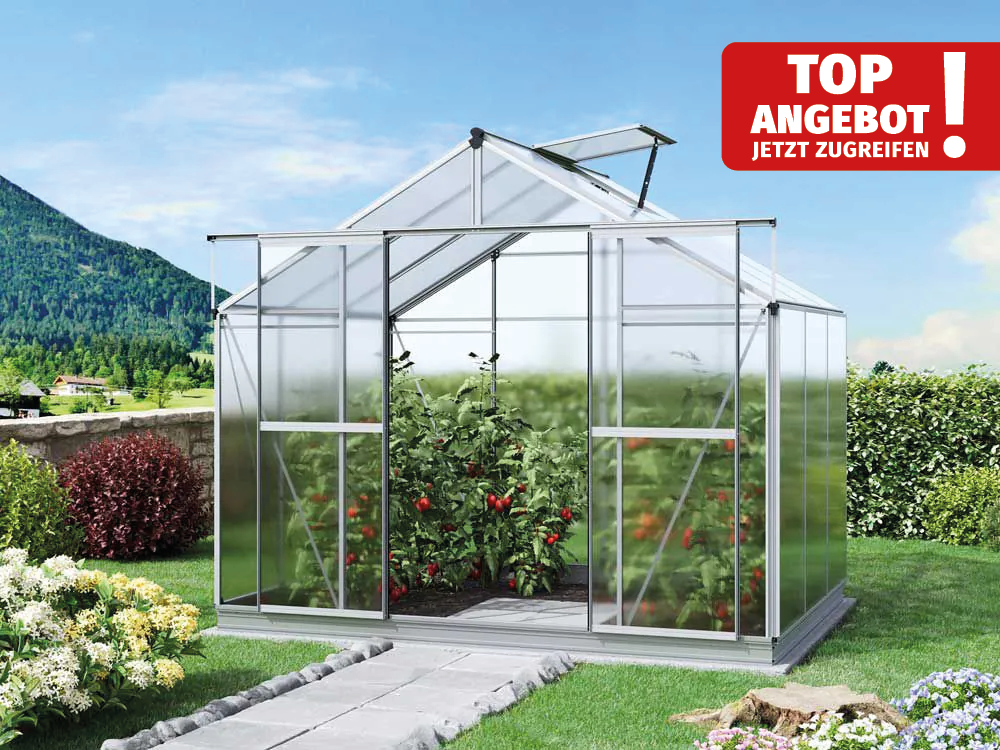 Gewächshaus 256x192 cm, Tomatenhaus 6 od. 8 mm, Tomatengewächshaus , kleines Gewächshaus, Glashaus, Gewächshaus Glas Gewächshaus 256x192 cm, Tomatenhaus 6 od. 8 mm, Tomatengewächshaus , kleines Gewächshaus, Glashaus, Gewächshaus Glas