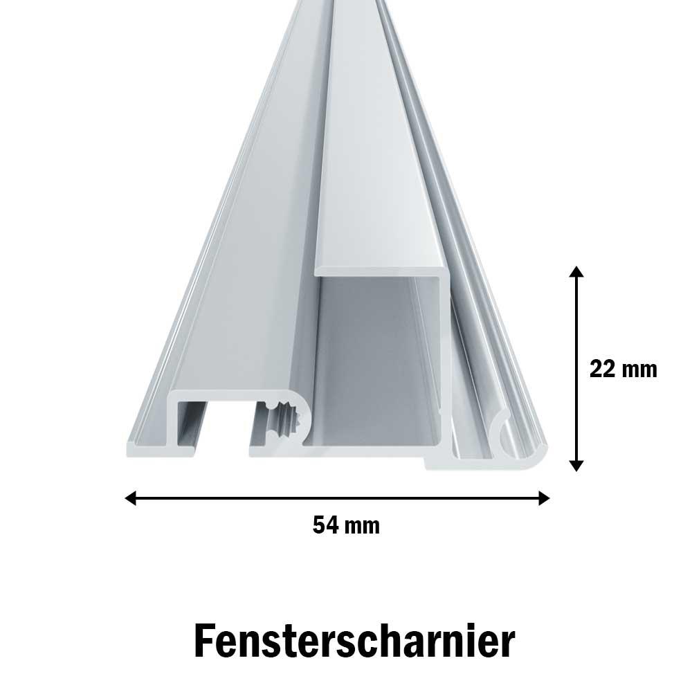 plex_fenster-scharnier_r2