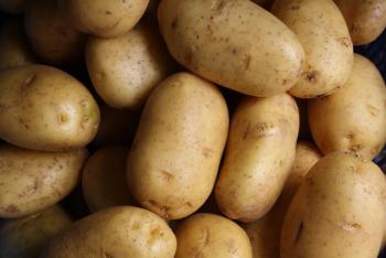 Kartoffeln im Hochbeet