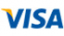 Visa Logo