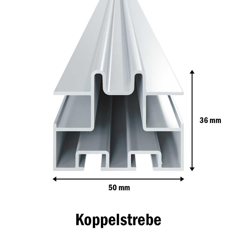 plex_strebe-doppel_r2