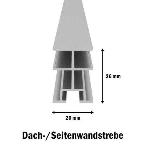 Strebe-Seitenwand-Dach-V-R-Wand