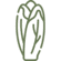 Endivie Icon