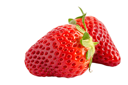 Erdbeeren im Gewächshaus