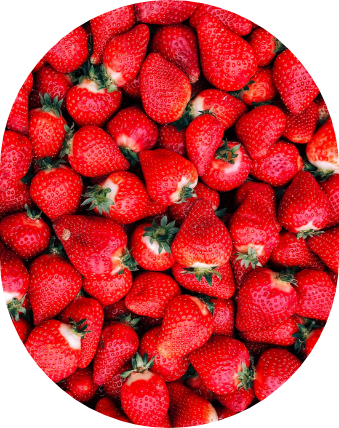 Erdbeeren im Gewächshaus