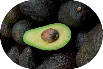Avocado