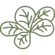 Feldsalat Icon