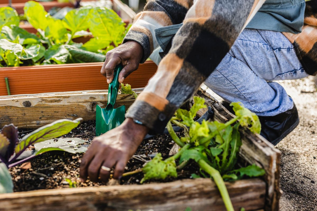 Garten herbstfit machen