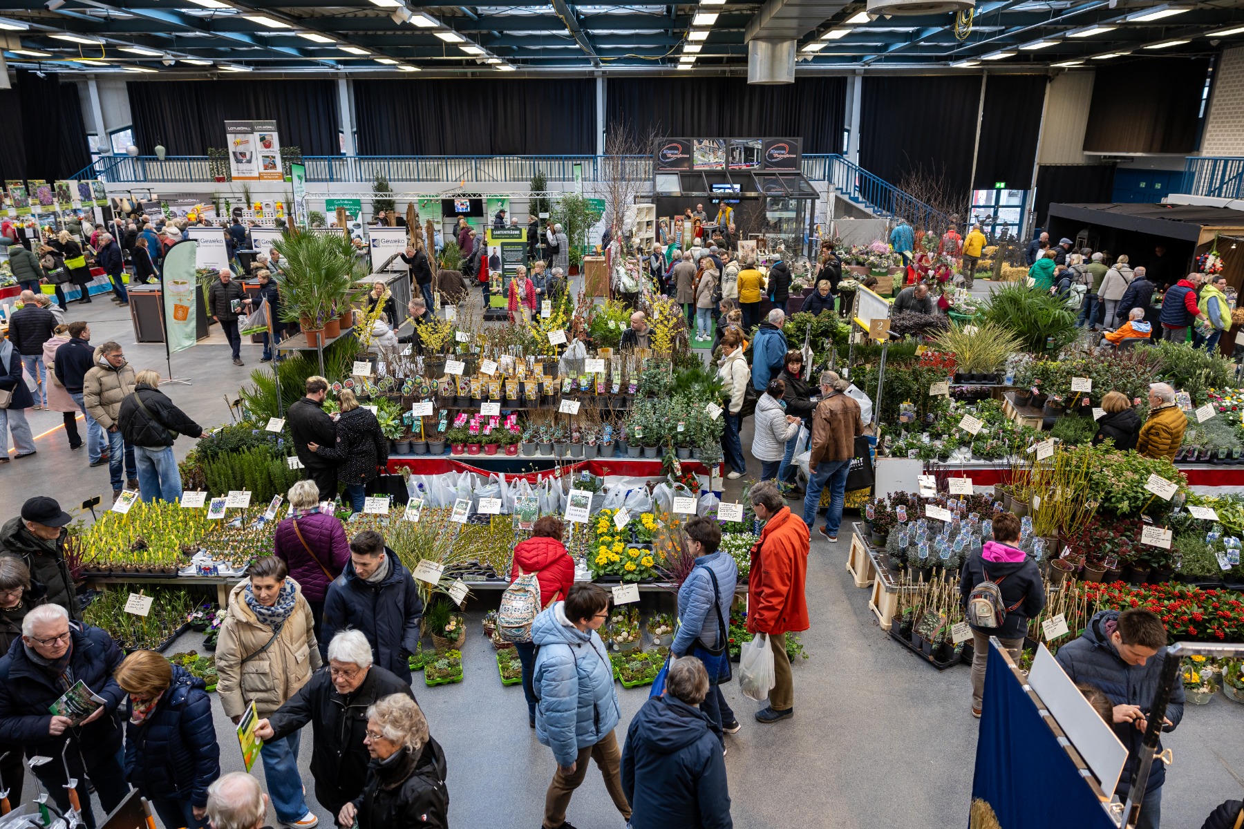 Gartenträume Lingen