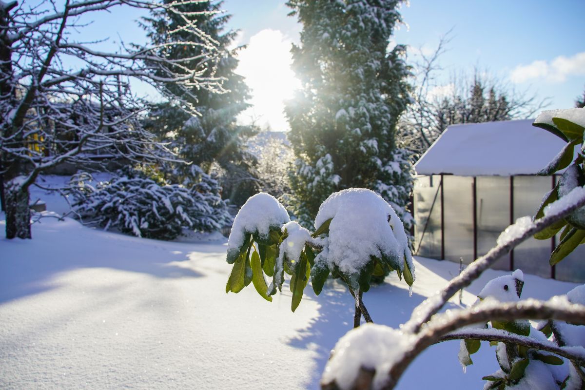 Gewächshaus im Winter