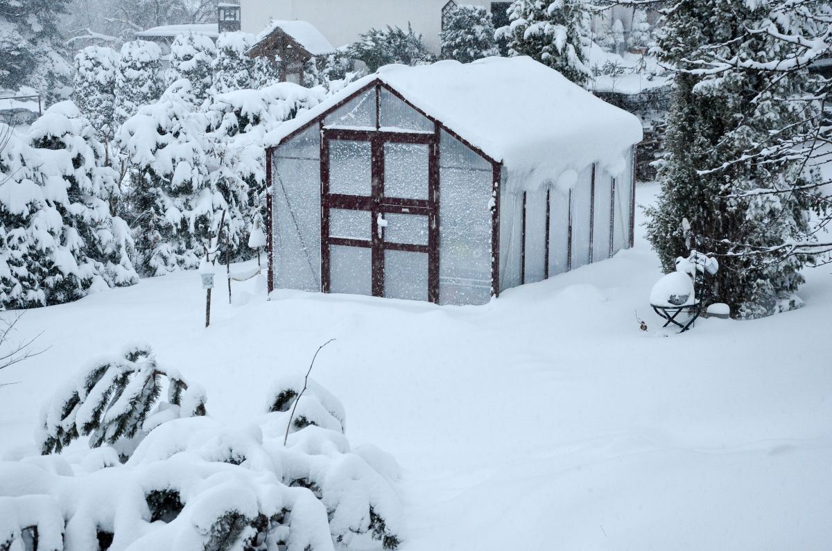 Gewächshaus im Winter