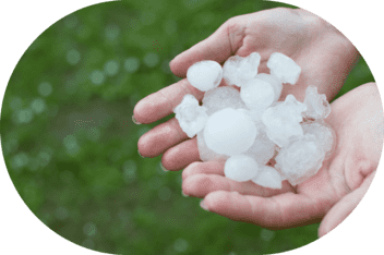 Gewächshaus gegen Hagel sichern