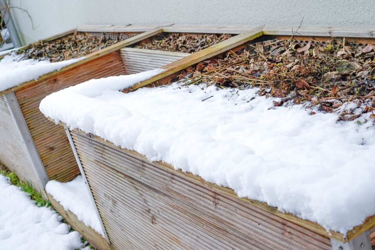 Hochbeet im Februar