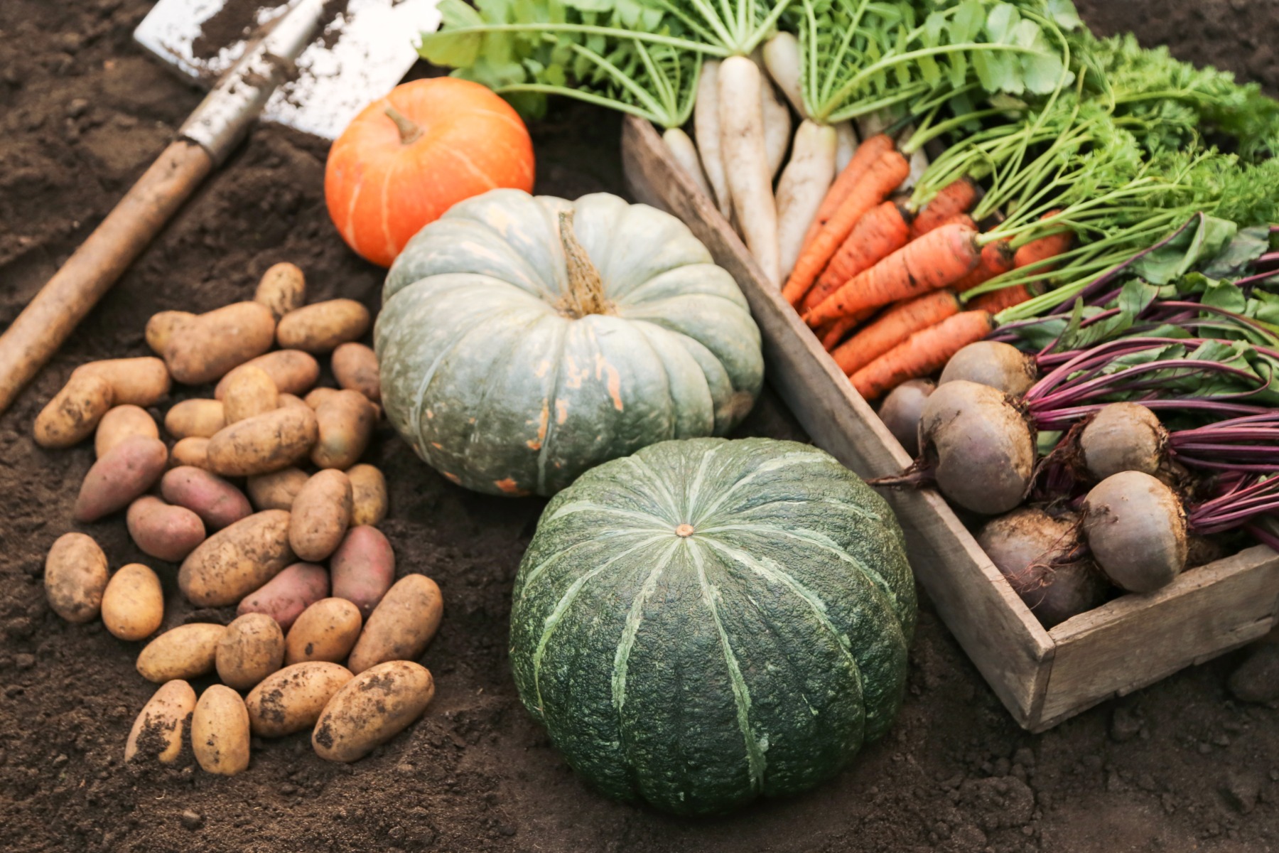Hochbeet Herbst