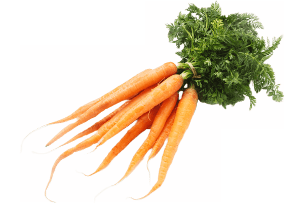 Gemüse Karotten