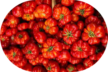 Tomaten