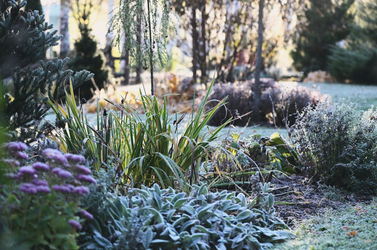 Wintergarten
